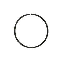 Pierścień osadczy 5162253