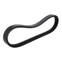 PAS Case IH 244420A4