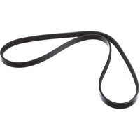 Pas sprężarki powietrza Maxxum, MXU, Puma Case IH 87710660